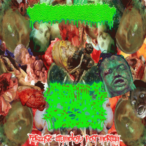 Blunted Torso : Forensic Etymology Post Mortem Blunted Torso : Forensic Etymology Post Mortem